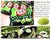 Japanese Green Tea Kit Kat 2 Packs (24 Pieces Total)