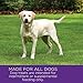 Wellness Soft & Chewy Treats For Dogs, Wellbites Turkey & Duck, 8 Oz. Pouch