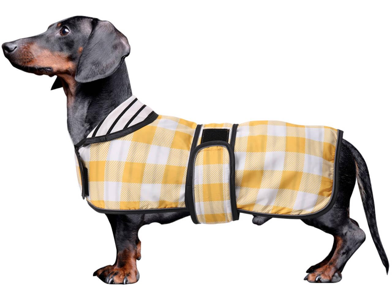 Morezi Dachshund coat miniature dachshund coats fit for dachshunds sausage dog rain coat with reflective stripe adjustable bands in autumn winter - Yellow Plaid - L