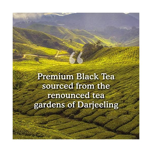 VAHDAM, Darjeeling Schwarz Tee (100 Teebeutel) Mittleres Koffein Tee | 100% Reine Unvermischte Darjeeling Teebeutel Aus Indien | Brau HeiÃ, Eis oder Kombucha Tee – Bild 6