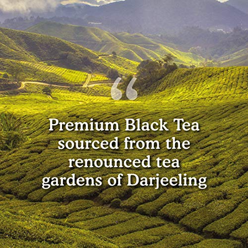 VAHDAM, Darjeeling Schwarz Tee (100 Teebeutel) Mittleres Koffein Tee | 100% Reine Unvermischte Darjeeling Teebeutel Aus Indien | Brau HeiÃ, Eis oder Kombucha Tee – Bild 6