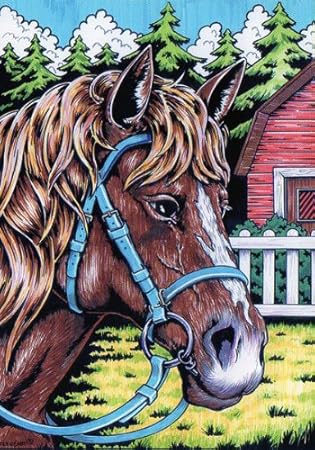 Malvorlage Samtbild Zum Ausmalen Motiv Pferd Ii 51 X 38 Cm Amazon De Spielzeug