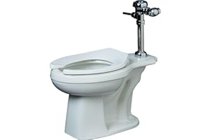PROFLO PF1723 Elongated Flush Valve Toilet Bowl Only - White