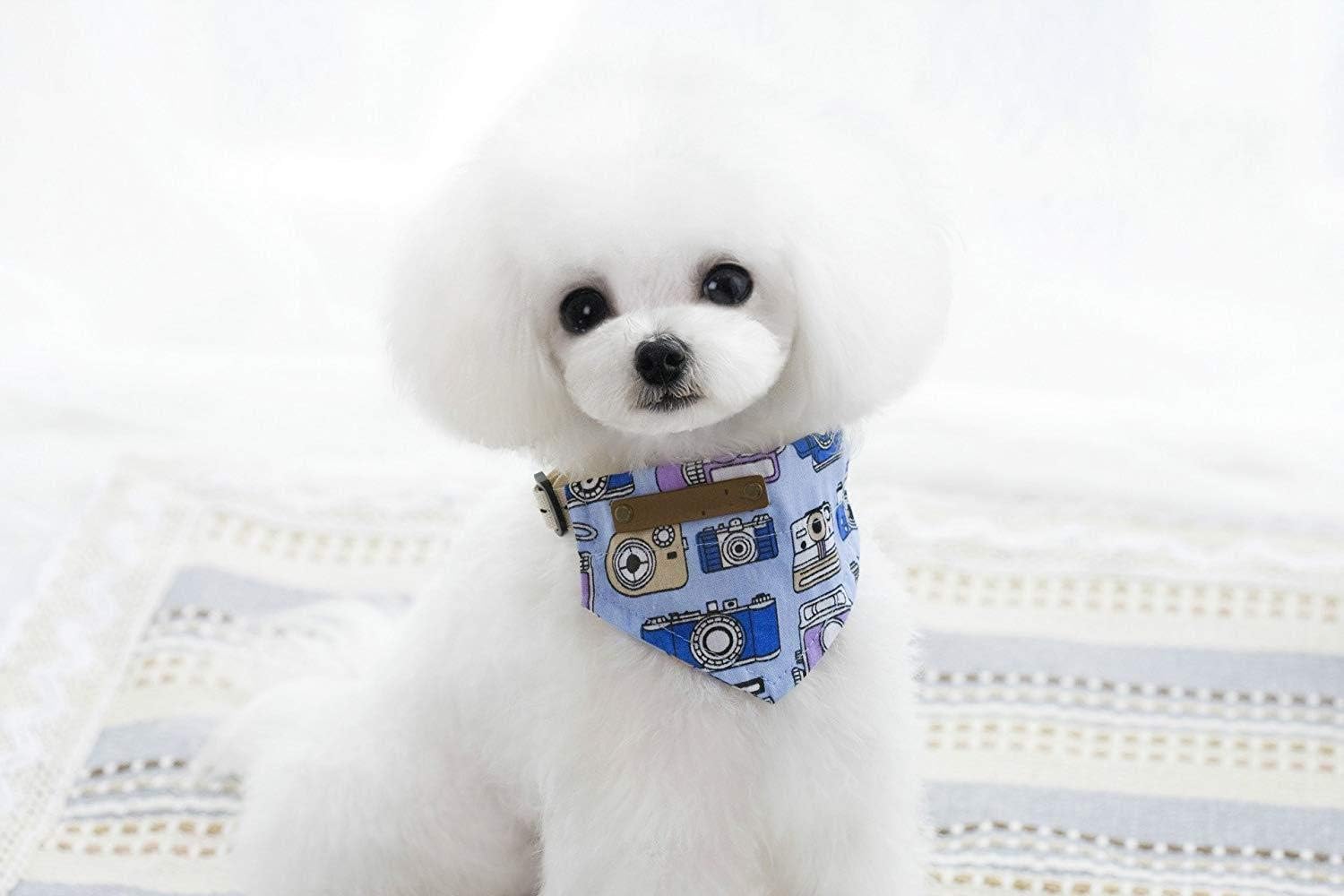 Gousheng Collar Animalerie Entierement Animal De Compagnie Chien Chat Chat Chiot Bavard Foulard Accessoires Foulard Alimentation Nettoyage Nettoyage Salive Serviette Serviette Avion S Avi Salive Animaux De Compagnie