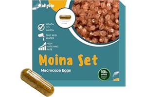 MAHYIM Two Capsule Moina MACROCOPA Water FLEA Eggs Alive Fresh for Killifish/Fish
