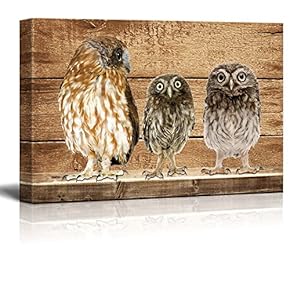 Rustic Three Owls Wall Decor