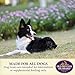 Old Mother Hubbard Wellness Original Mix Dog Biscuits, Natural, Training Treats, Four Flavors, Small Size, (20 Pound Box)