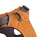 RUFFWEAR - Front Range, Everyday No Pull Dog Harness with Front Clip, Trail Running, Walking, Hiking, All-Day Wear, Campfire Orange, Large/X-Large