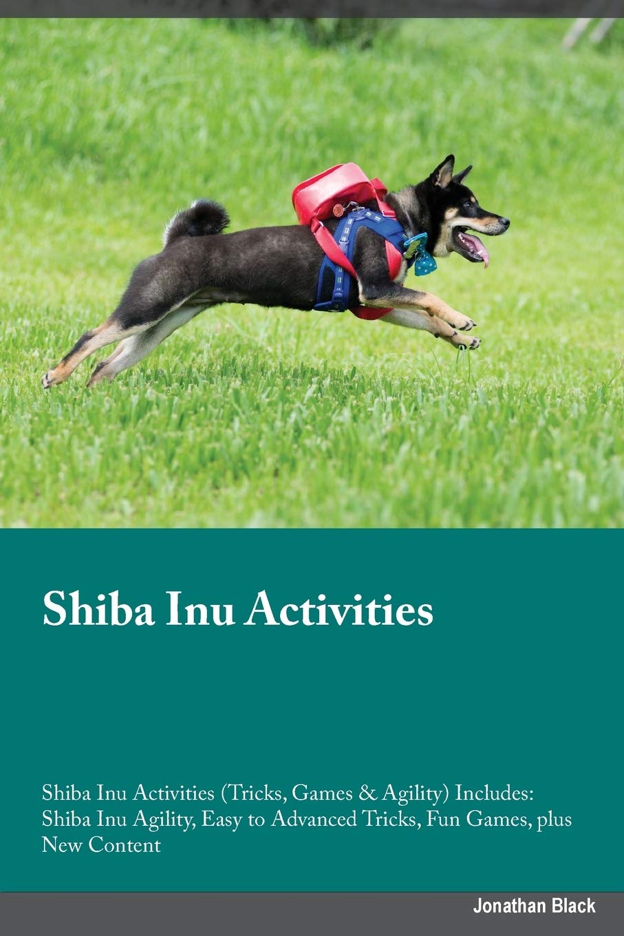 shiba inu agility