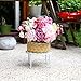 Metal 3 in 1 Potted Plant Stand Floor Flower Pot Rack/Iron Rack (White)thumb 4