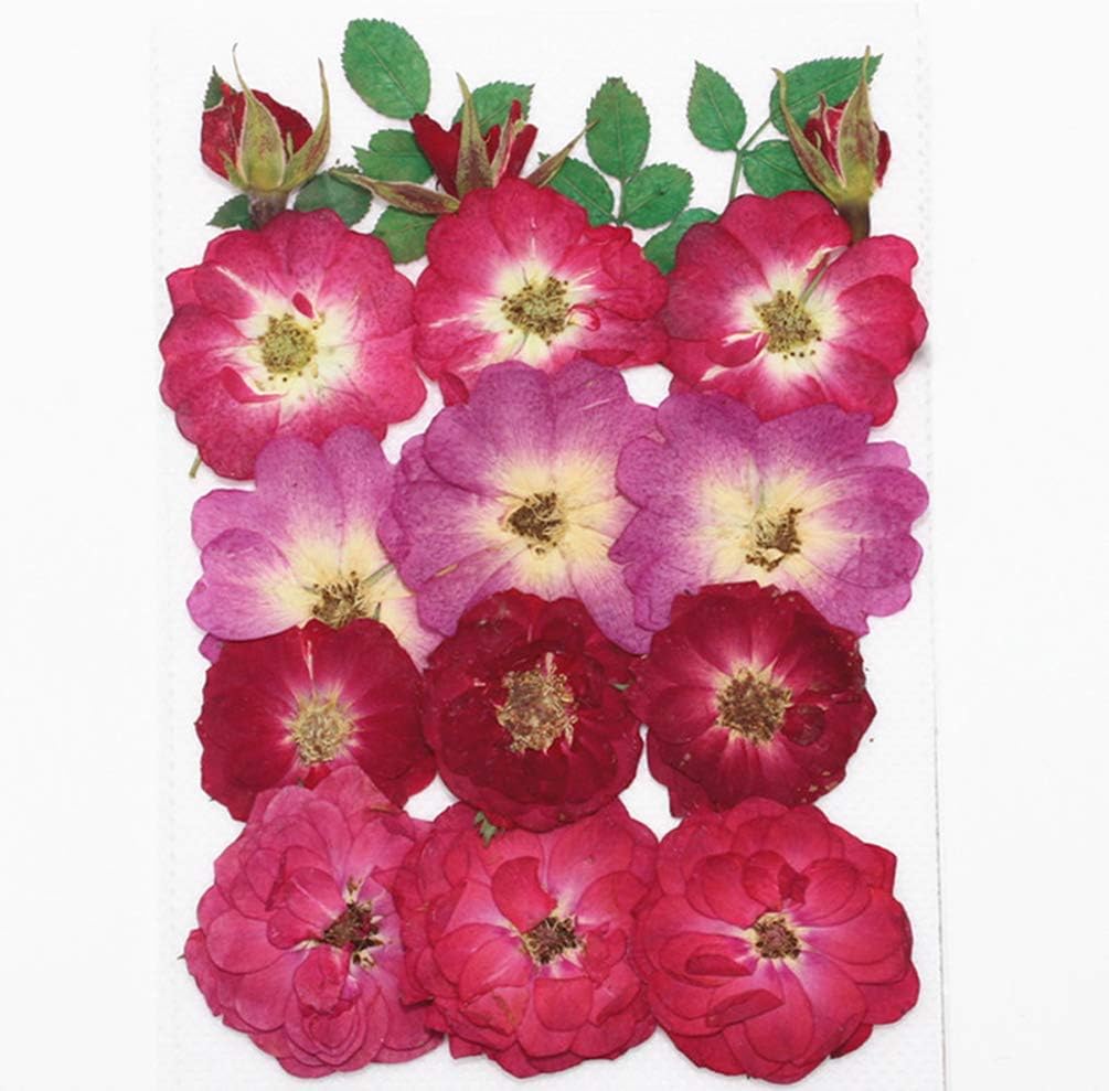 Dried Pressed Flowers Leaves Petals for Crafts Art Candle Soap Making Phone Case Bookmark-Red Rose Petals, Rosebuds, Yellow Marigold, Daisy, Hydrangea (A)