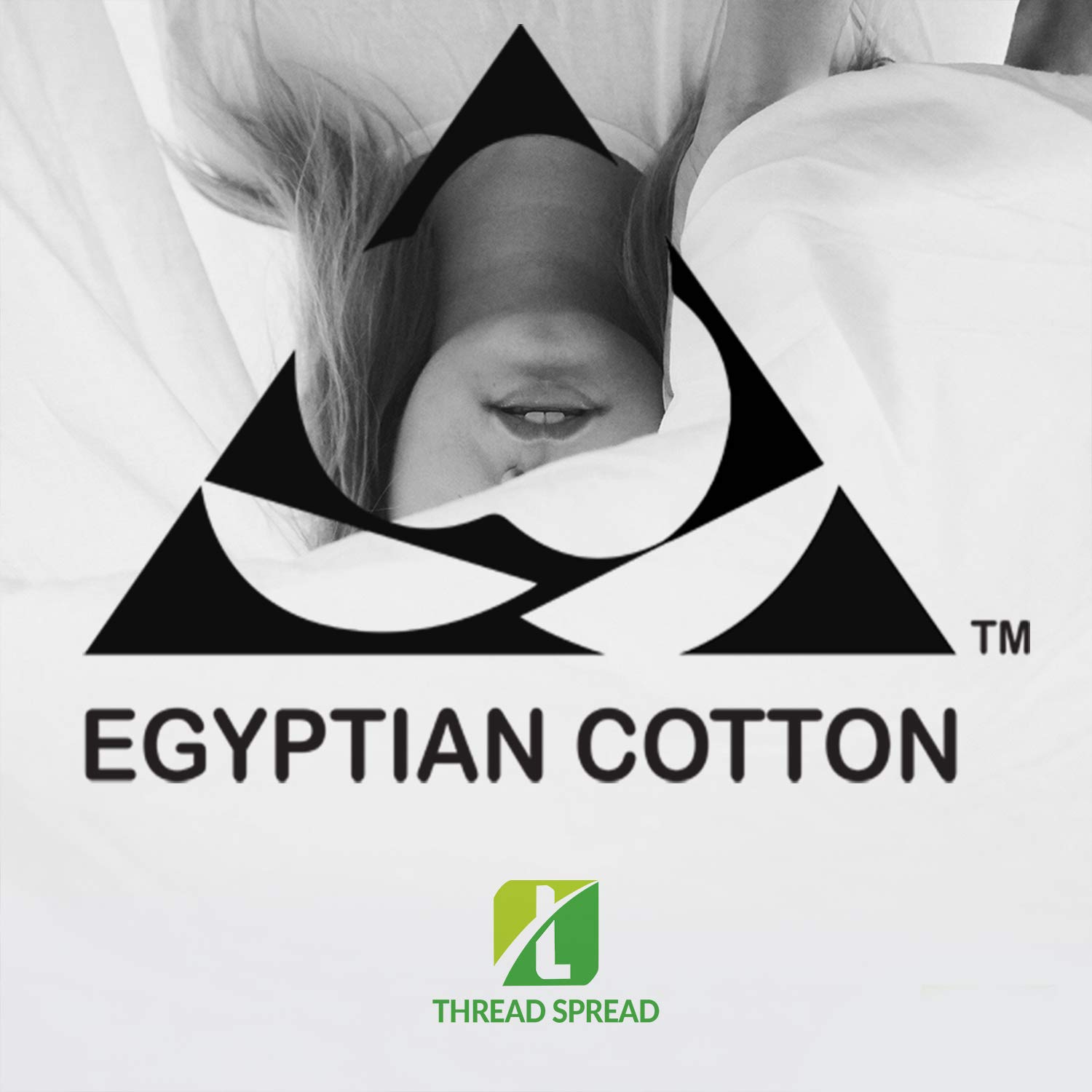 Thread Spread Luxury 100% Egyptian Cotton 1000 Thread Count 4 Piece Sheet Set Deep Pocket Up to 18