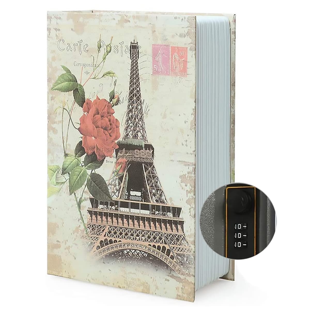 Diversion Book Safe Storage Box, Dictionary Secret Safe Can with Security Combination Lock/Key, Diversion Book Hidden Safe (Combination, Paris)