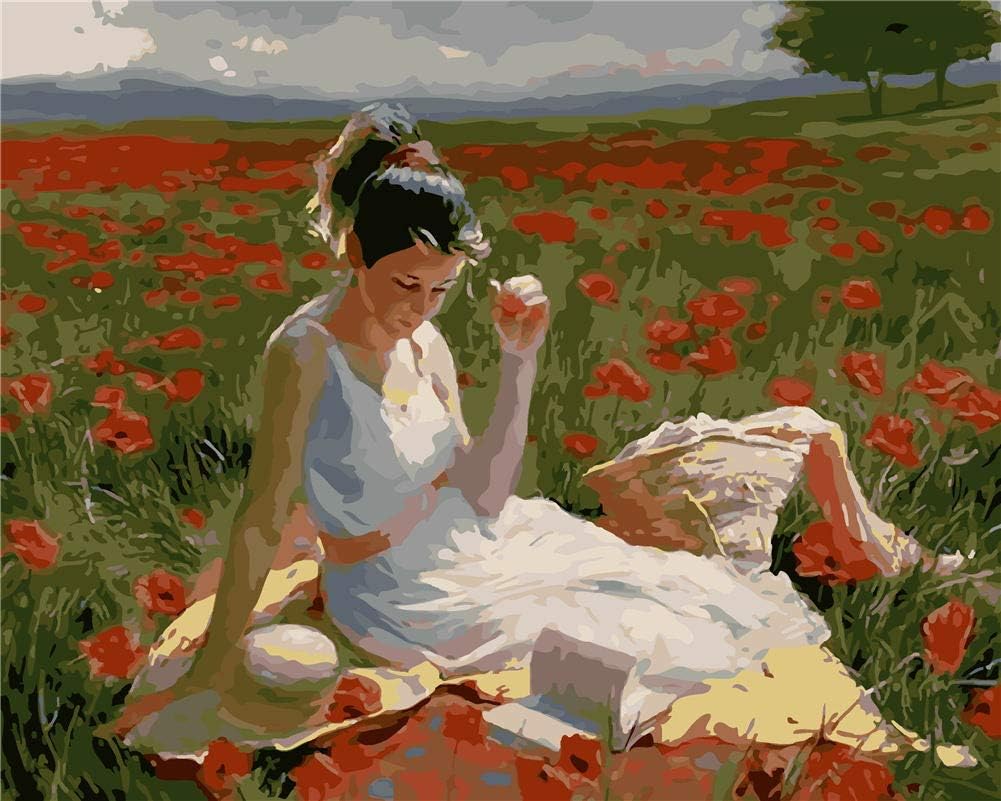 Paint by Number Kit, Morgofun DIY Oil Painting by Numbers for Adults - Beautiful Garden 16x20inch