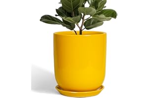 SUNPOTFOR Ceramic Pot for Plants - 10 Inch Plant Pot Indoor with Drainage Hole and Saucer Large Planter for Outdoor Plants Cylinder Decorative Flower Pot Yellow