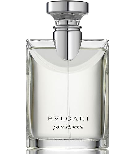 Amazon.com : Bvlgari Pour Homme Eau De Toilette Spray for Men 1.7