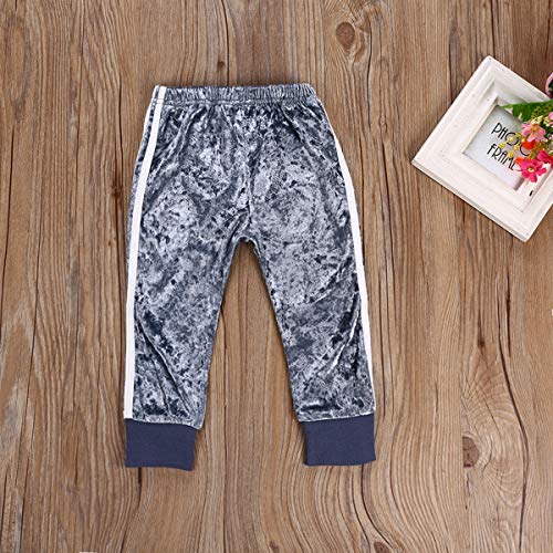 1-6Y Girls Velvet Sweatshirt Tops + Pants Fashion Sports Tracksuit Clothes Set (2-3T, Blue)