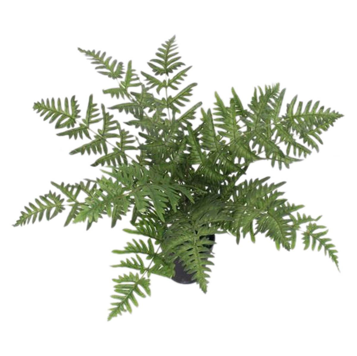 Leaf Design Realistic Artificial Fern Plant