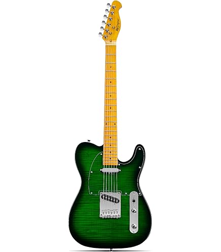 ギター BIGSBY B5 Amazon.com: Bigsby B5 Guitar Vibrato For Flat Top Electrics