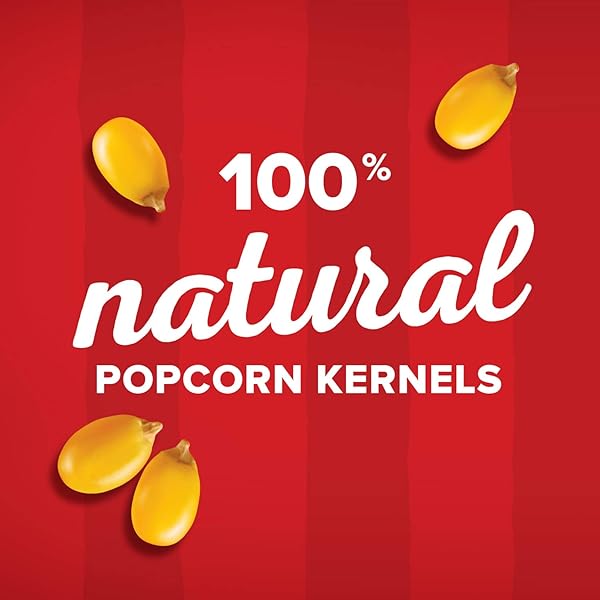 ORVILLE REDENBACHER’S GOURMET POPCORN KERNELS, ORIGINAL YELLOW, 8 LB.