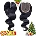 Brazilian Virgin Hair Body Wave Lace Closure Three Part Double Lace Net Closure Unprocessed Human Hair (8 inch, Body)