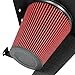 Ford F-150/Expedition Black Coated Aluminum Air Intake System
