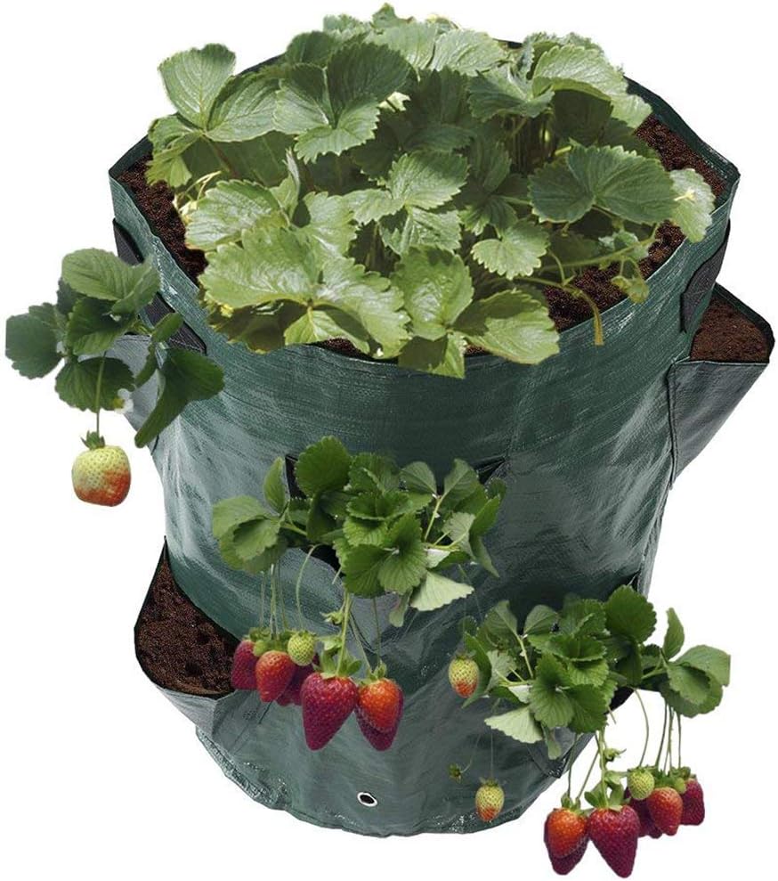 K9CK Bolsas para Plantas, Bolsa de Plantación, Bolsa de ...