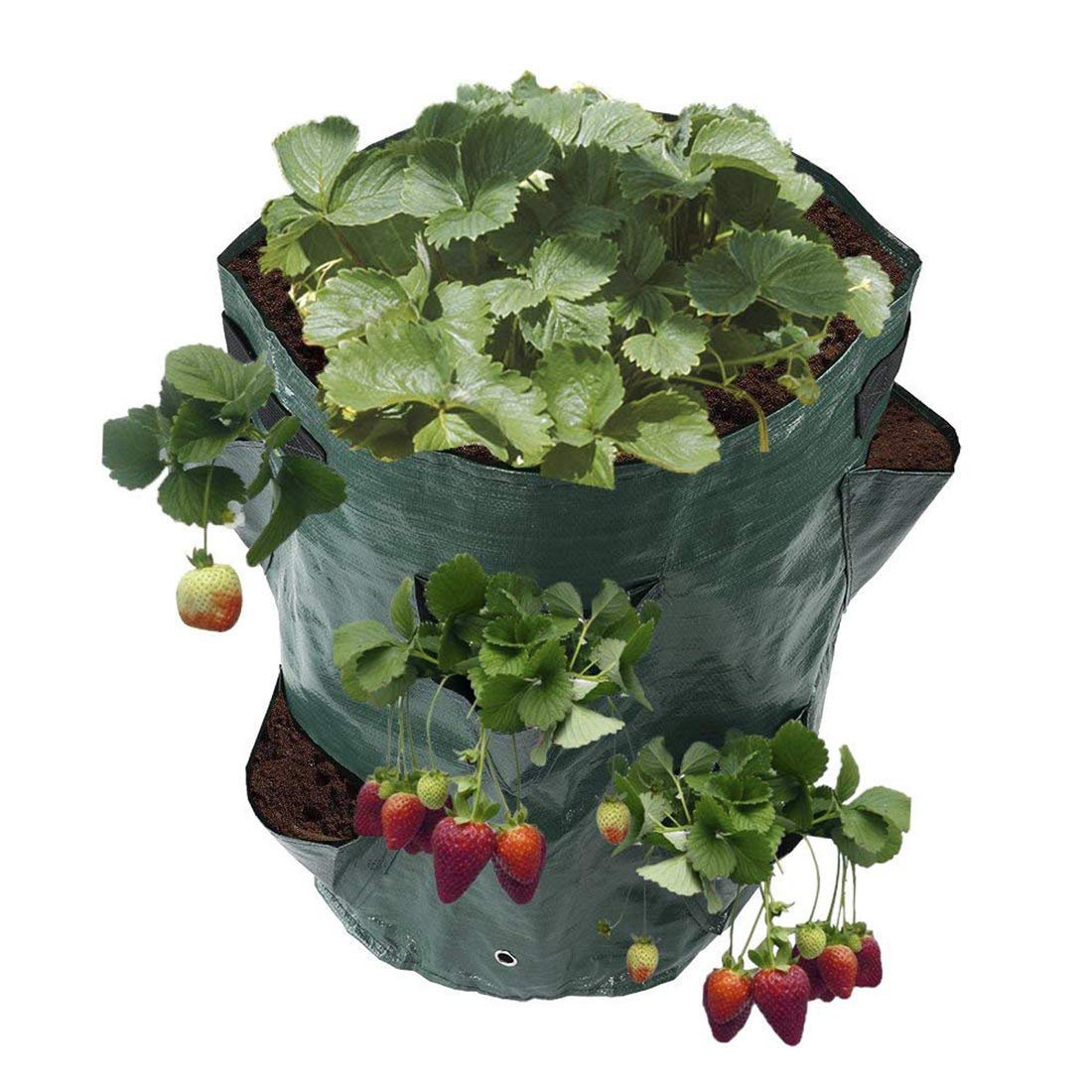 K9CK Bolsas para Plantas, Bolsa de Plantación, Bolsa de ...