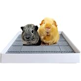 PODOO Rabbit Litter Box &ndash; Training Potty Tray for Guinea Pig &amp; Small Pets &middot; Spacious Grid Pan with Low Entrance, Easy-Clean &amp; Odor-Resistant&mdash;Helps Keep a Clean Cage and Reduce Mess