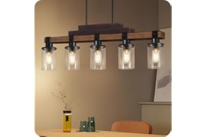 GOEBLESON 5-Light Kitchen Island Lighting Heavy Duty, Dining Room Light Fixture with Glass Shades, Kitchen Island Pendant Light Fixture, E26 Base, for Kitchen, Dining Room F01DT05