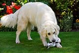 Petface Farmyard Buddies Lazy Moo Plush Dog Toy view 6