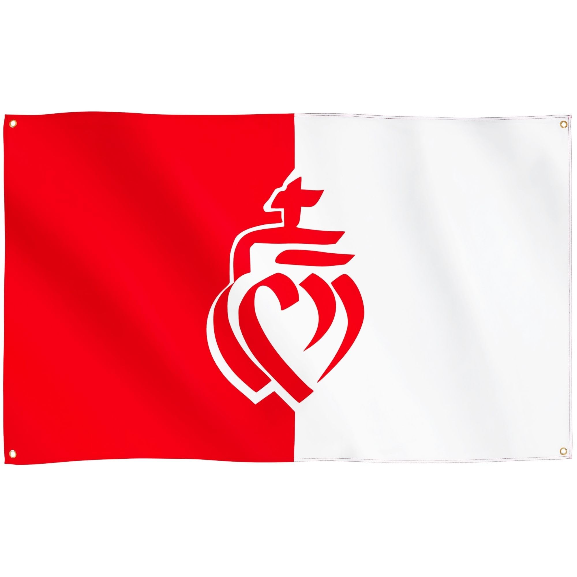 Runesol Vendée Flag, 91x152cm, 3ft x 5ft, 4 Grommets, Eyelet In Every Corner, Department of Vendee, Sacred Heart, Alsace-Lorraine, Premium Flags, Inside, Outside