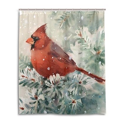 Amazon Com Christmas Cardinal Bird Winter Holidays Shower Curtain