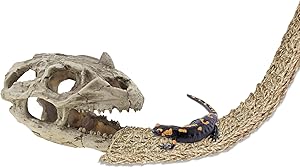 Bearded Dragon Tank Accessories Resin Ceratops Lizard Lounge Hideouts Cave Artificial Skeleton Skull Aquarium Ornaments Hammock Reptile Decor for Terrarium Lizards,Chameleon,Snake,Spider,Gecko