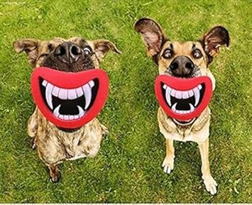 caucasian shepherd russian prison dogs