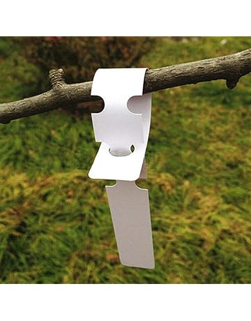 Amazon.es: Marcadores para plantas: Jardín