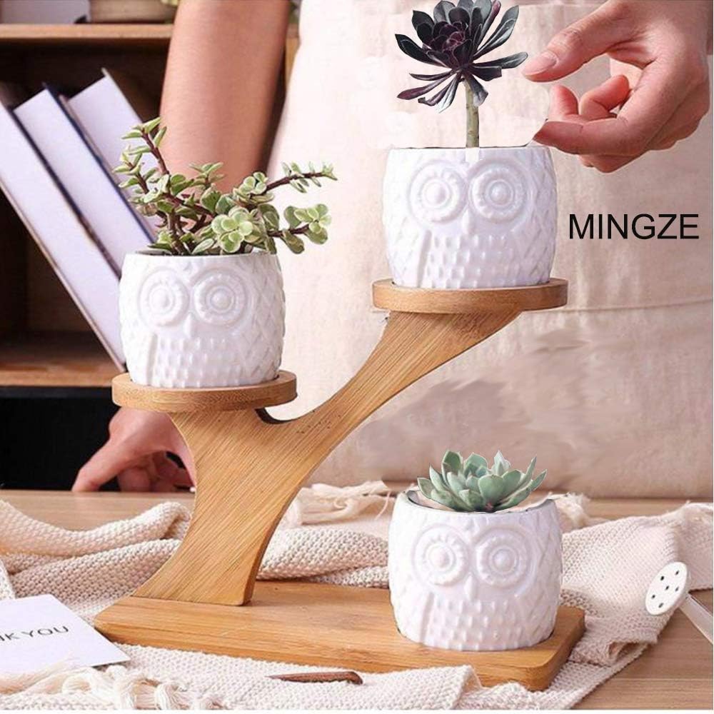 MINGZE 3 Pack Owl Succulent Ceramic Plant Pots for Home Office Desk (With Wooden Stand) - Image 3