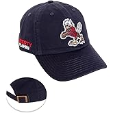 Desert Cactus Liberty University Baseball Hat Flames Brimmed Embroidered Hats Cap Adjustable Cloth Strap Adult (Style F) Blue