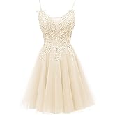 JAEDEN Prom Dress Short 2026 - Lace Homecoming Dresses DAMA Dress for Quinceanera for Teens Tulle