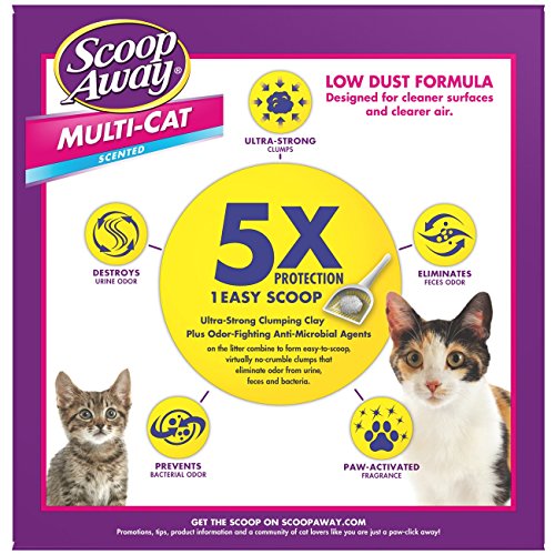 Scoop Away Multi-Cat, Scented Cat Litter, 25 Pounds