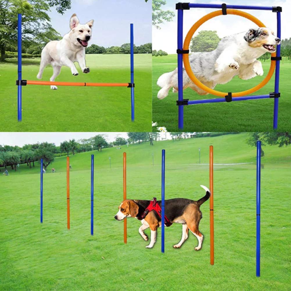 MelkTemn Pet Outdoor Games Dog Agility Exercise Training Equipment Agility Starter Kit Dog Play