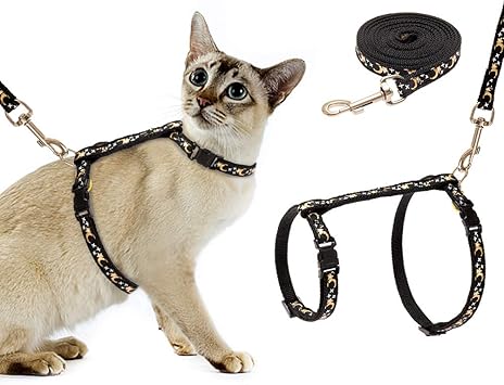 cat collar and lead