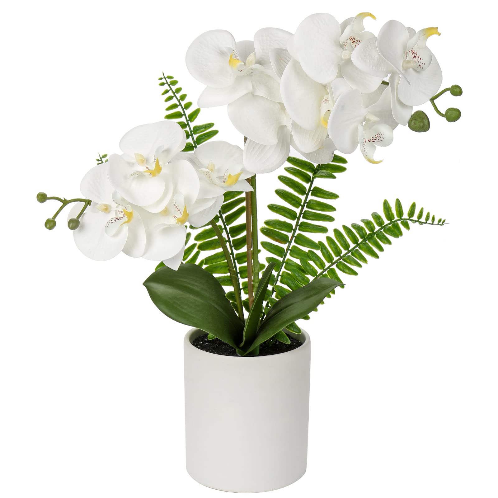 Briful White Orchid Artificial Flowers in Ceramic Pot - Fake Orchid White Silk Phalaenopsis Flower Arrangement - Artificial Orchid Plant Indoor for Home Office Kitchen Bedroom Wedding Decor