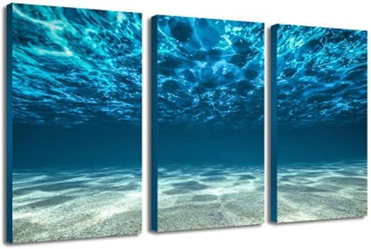 cuadros del mar amazon