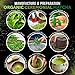 Organic Ceremonial Matcha - Best Taste - USDA Organic - Energy Booster - Green Tea Powder (2oz)