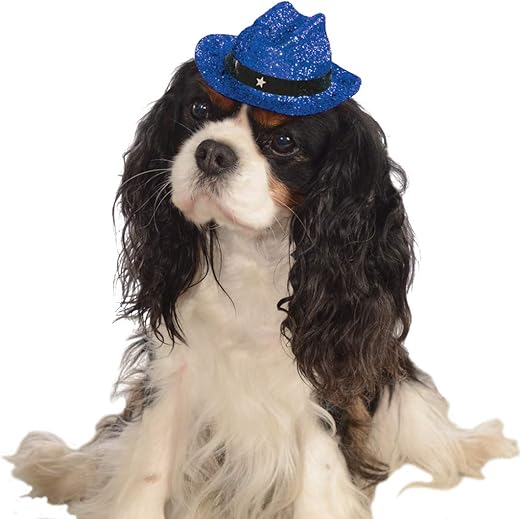 cowboy hat on dog