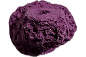 OCEAN AQUARIA 1 Hole Magnetic Coral Frag Rack/Frag Rock for Live Coral Plug Ons/Reef Aquarium (Coralline Purple)