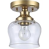 Golden Lighting Bronze Semi-Flush with Clear Glass by Daphne
