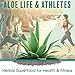 Aloe Life - Face & Body Lotion, Concentrated Formula, Hydrates Dry Skin, Contains Antioxidants, Minerals, & Herbal Extracts, Pleasant Grapefruit Scent, Safe For All Skin Types, Gluten-Free (4 oz)