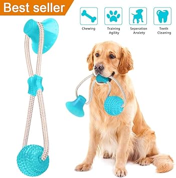 suction cup tug of war for dogs